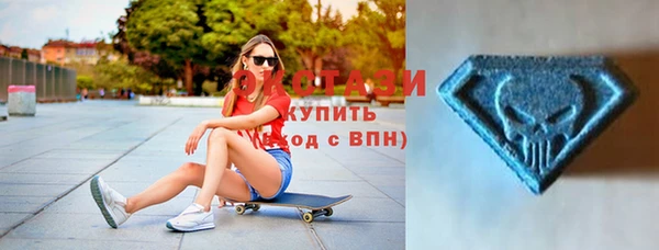 стаф Каменка