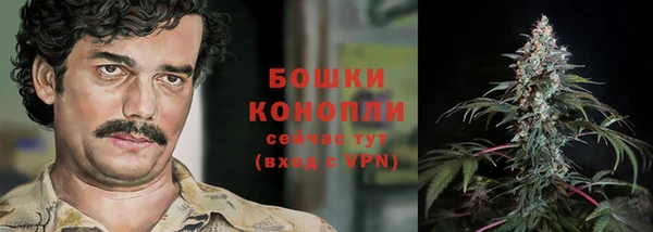Альфа ПВП Касимов