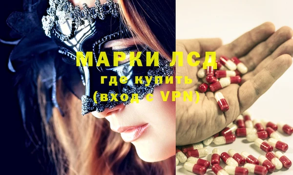 spice Каменногорск