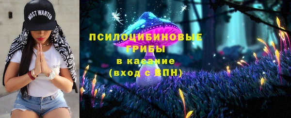 Альфа ПВП Касимов