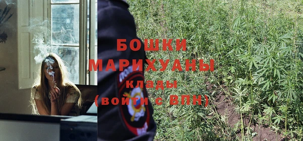 стаф Каменка