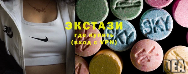 стаф Каменка