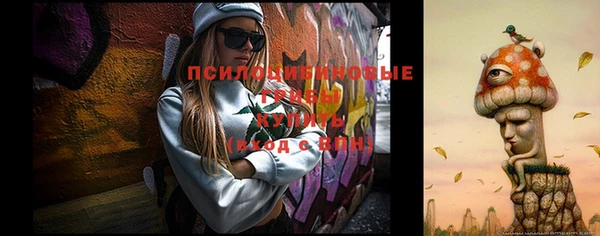 mix Инсар