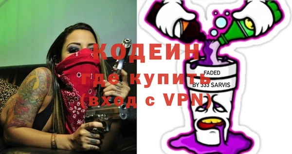 индика Иннополис