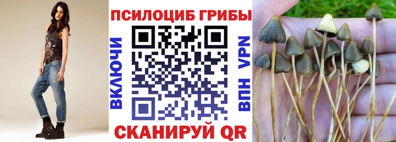 Псилоцибиновые грибы MAGIC MUSHROOMS  ссылка на мегу ONION  Касли 